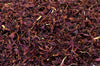 Purple Cornflower Natural Confetti - confetti-shop.co.uk